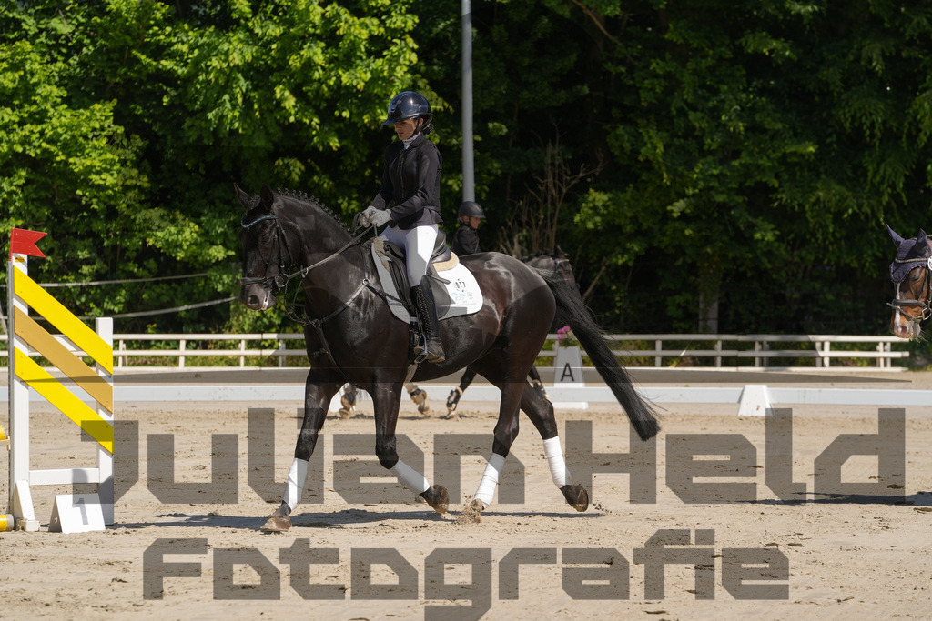 DSC03200 | Julian Held Fotografie - Realisiert mit Pictrs.com