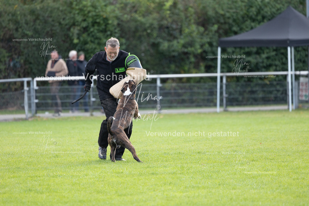 _16A6541 | Einzigartige Fotos von Hunden & Menschen –Actionfotos, Portraits, Vereinsaufnahmen & Paarshootings – authentisch, lebendig & mit Herz.