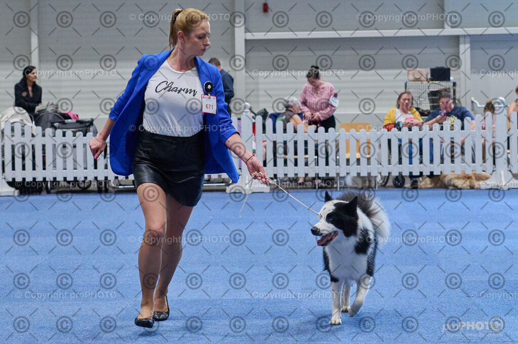 202406_ÖKV-IHA-Tulln24_DSC_5033 | proPHOTO - Realisiert mit Pictrs.com