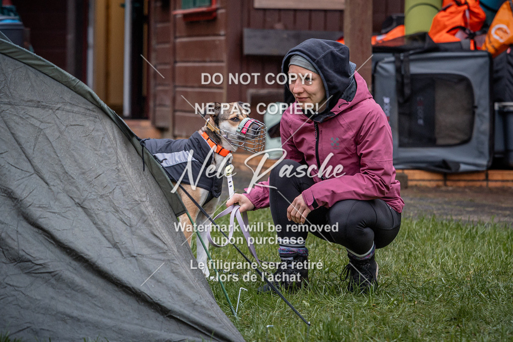 nelerasche_SoAuszug_229 | nelerasche