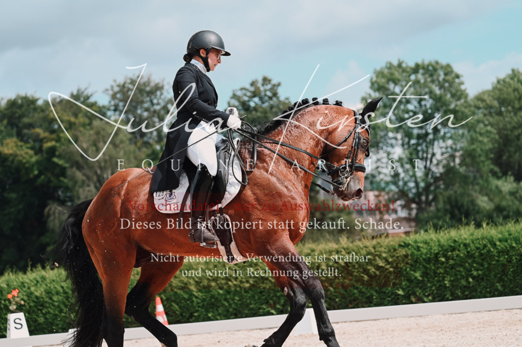 DSC_4379 | Pferde- und Turnierfotografie in Westsachsen. Pferdeportraits, Auftragszeichnungen und intuitive Kunst.