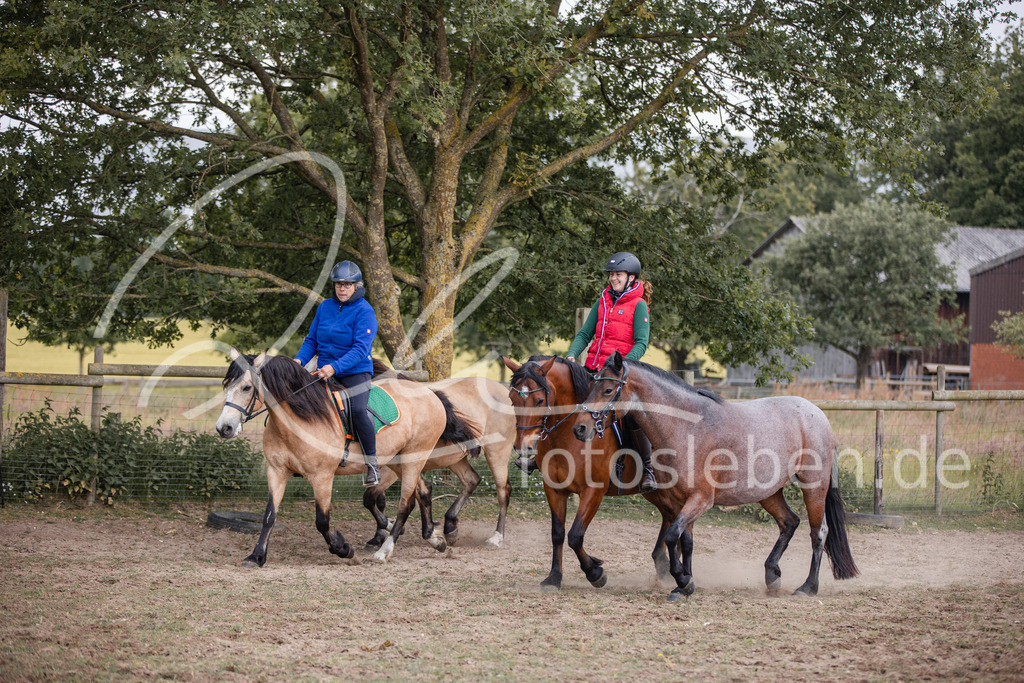 846A0175 | fotosleben - Realisiert mit Pictrs.com