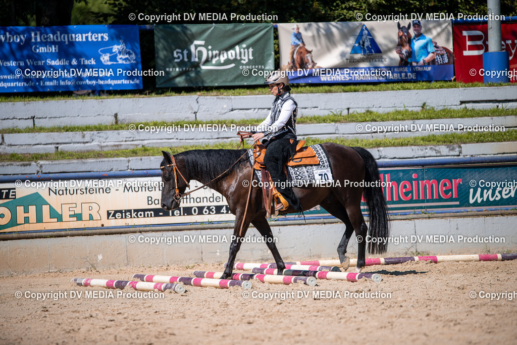 ZS1_0923 | dv-media-shop - Realisiert mit Pictrs.com