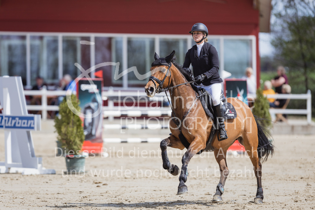 230501_SpengeW_M2St-205 | Deine schönsten Turniermomente als professionelle Fotos! Entdecke hochwertige Pferdesport-Fotografie im Online-Shop. Jetzt Fotos finden & bestellen!