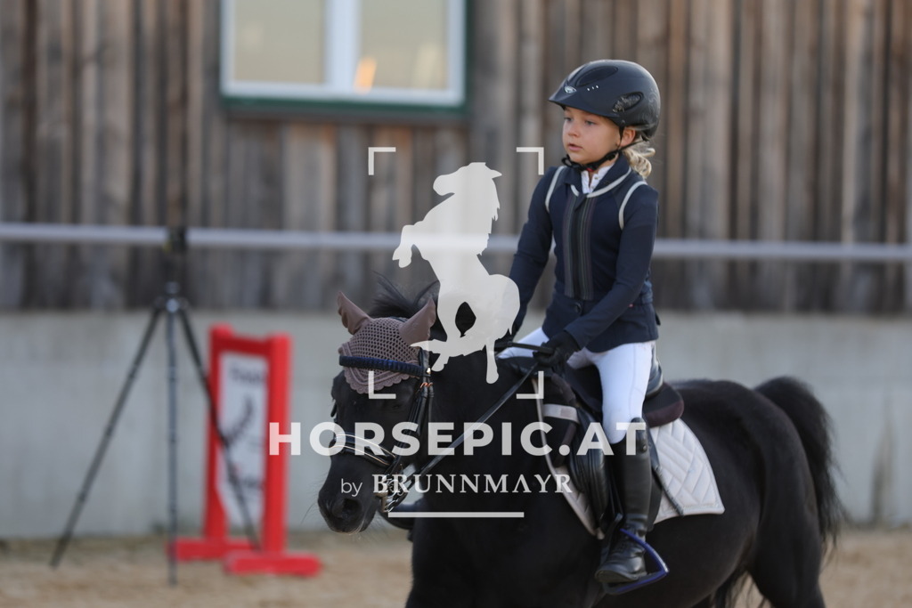 0P6A2570 | Willkommen bei Brunnmayr - Design & Fotografie – Ihrem Spezialisten für Reitturniere und Pferdeveranstaltungen in Oberösterreich, Salzburg und Bayern! Seit über 17 Jahren sind wir leidenschaftlich dabei.