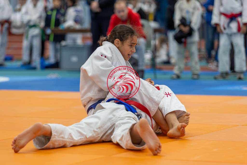 Internationaler Adler Cup 2024 | Foto vom Internationalen Adler Cup Judo Turnier im Sport- und Freizeitzentrum Kalbach im Oktober 2024 - Realisiert mit Pictrs.com