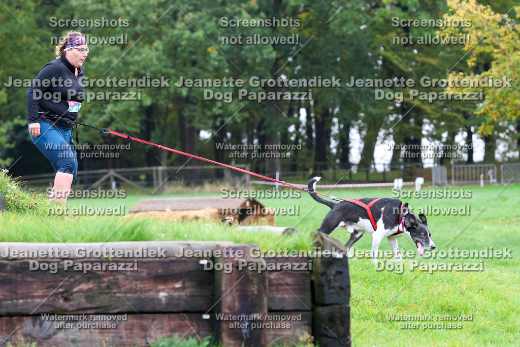 Dog Paparazzi -  SD1026-1077 | Dog Paparazzi Jeanette Grottendiek Fotografie & Videografie - Realisiert mit Pictrs.com
