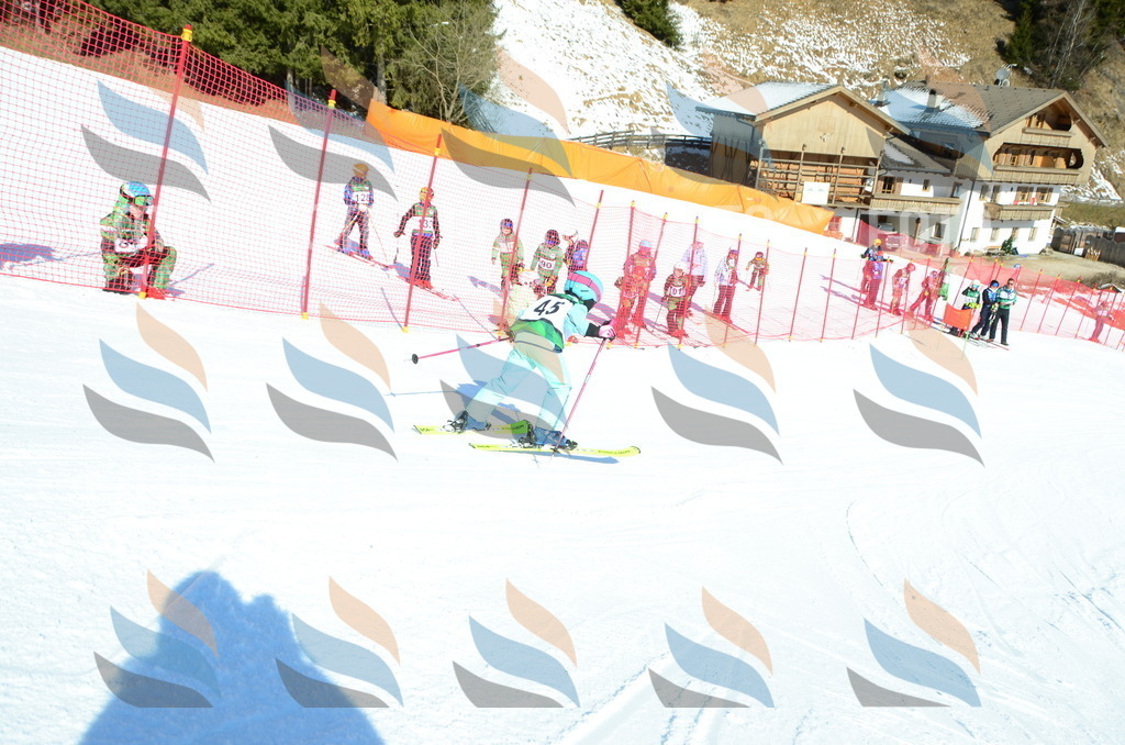 C5116 | holidayphoto