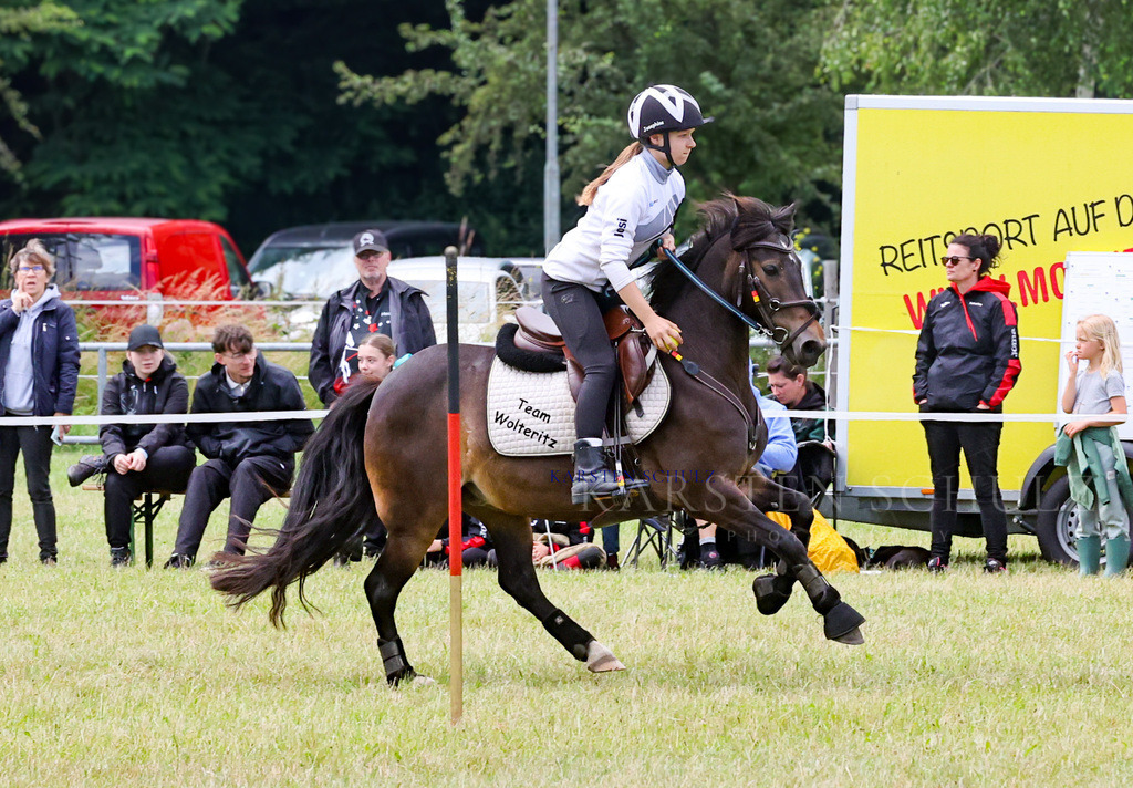 1B3A2683 | Reitsport Reiten