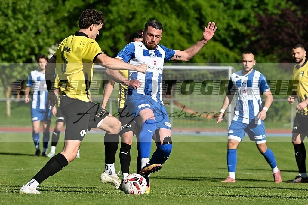 aaaaDSC_2439 | Kaufen Sie Sportbilder im Onlineshop von Andy Scherrer Sportfotografie. Faszinierende Bilder von Sportevents aus der ganzen Schweiz. Fussball, Frauenfussball, Unihockey, Handball, Schwingen und weiteren Sportarten. - Realisiert mit Pictrs.com