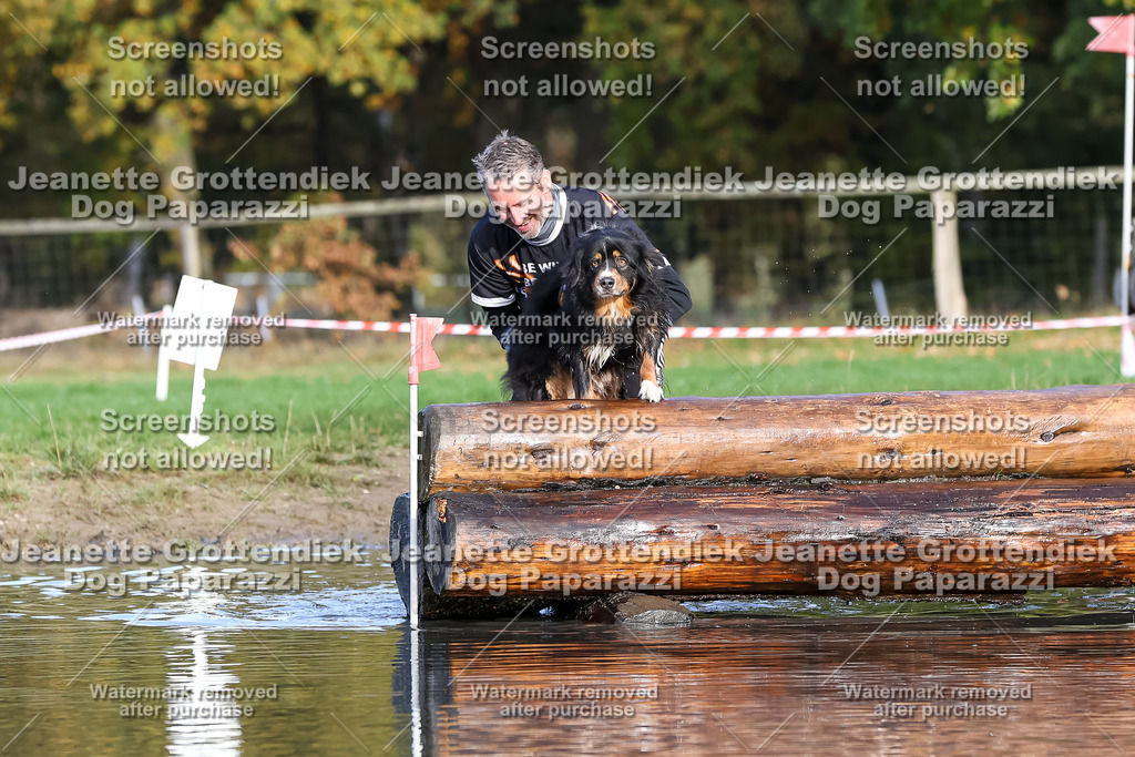 Dog Paparazzi - Strongdog 10-25-8358 | Dog Paparazzi Jeanette Grottendiek Fotografie & Videografie - Realisiert mit Pictrs.com