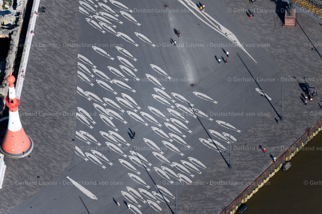 4030240 | BREMERHAVEN 01.06.2020 Zoogelände am Tierpark des Zoo am Meer Bremerhaven in Bremerhaven im Bundesland Bremen. // Zoo grounds of the Zoo am Meer Bremerhaven in Bremerhaven in the state Bremen. Foto: Gerhard Launer