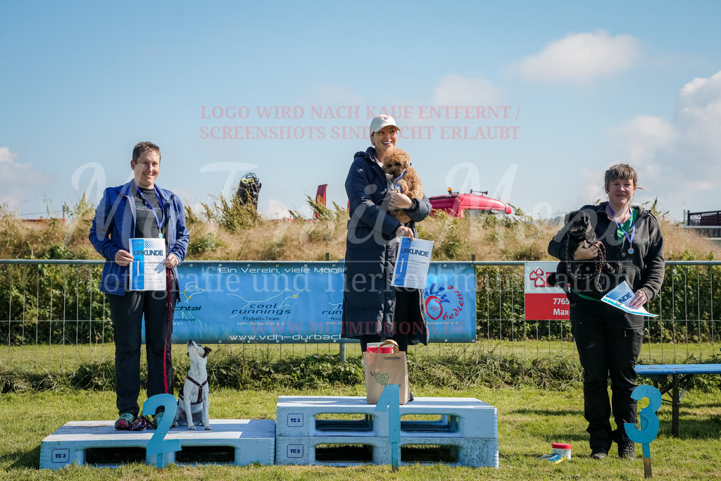 20250928_Hunderennen-737 | MuT (Mensch und Tier) mit Mona - Fotografie und Tierkommunikation - Realisiert mit Pictrs.com