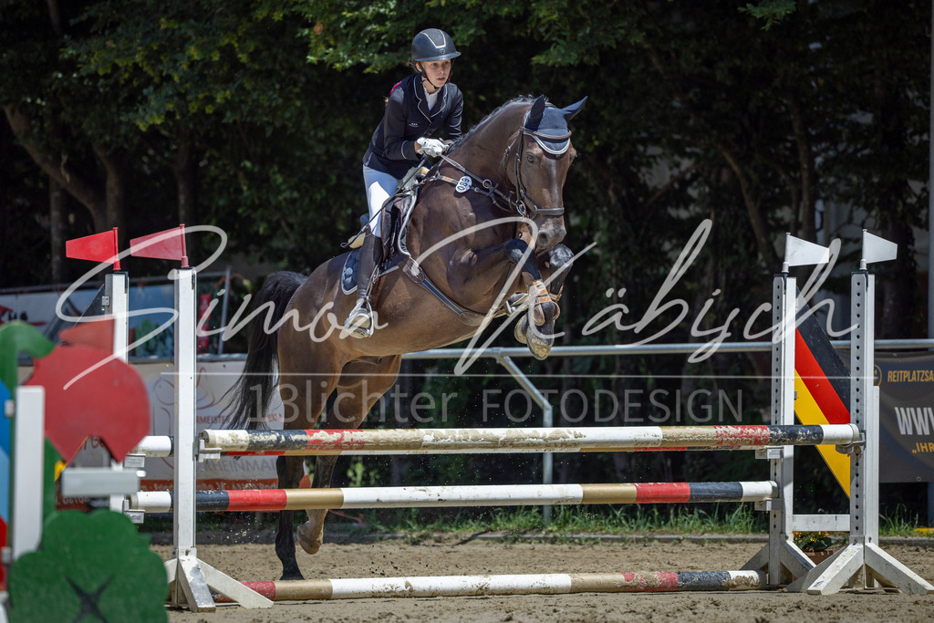 20260704-_3LI8475 | Tierfotografie Pferde, Hunde, Katzen, Haustiere.
Turnierfotografie Reitturniere, Reiten, Springreiten, Dressur in Hanau, dem Main-Kinzig-Kreis und dem Rhein-Main- Gebiet um Frankfurt