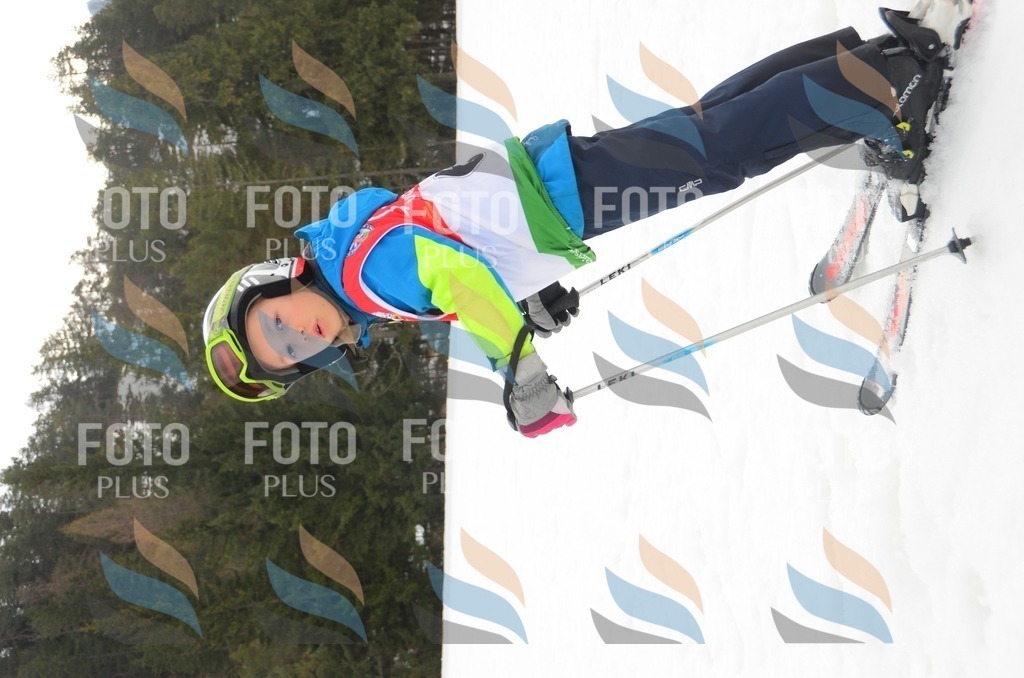 C1412 | holidayphoto