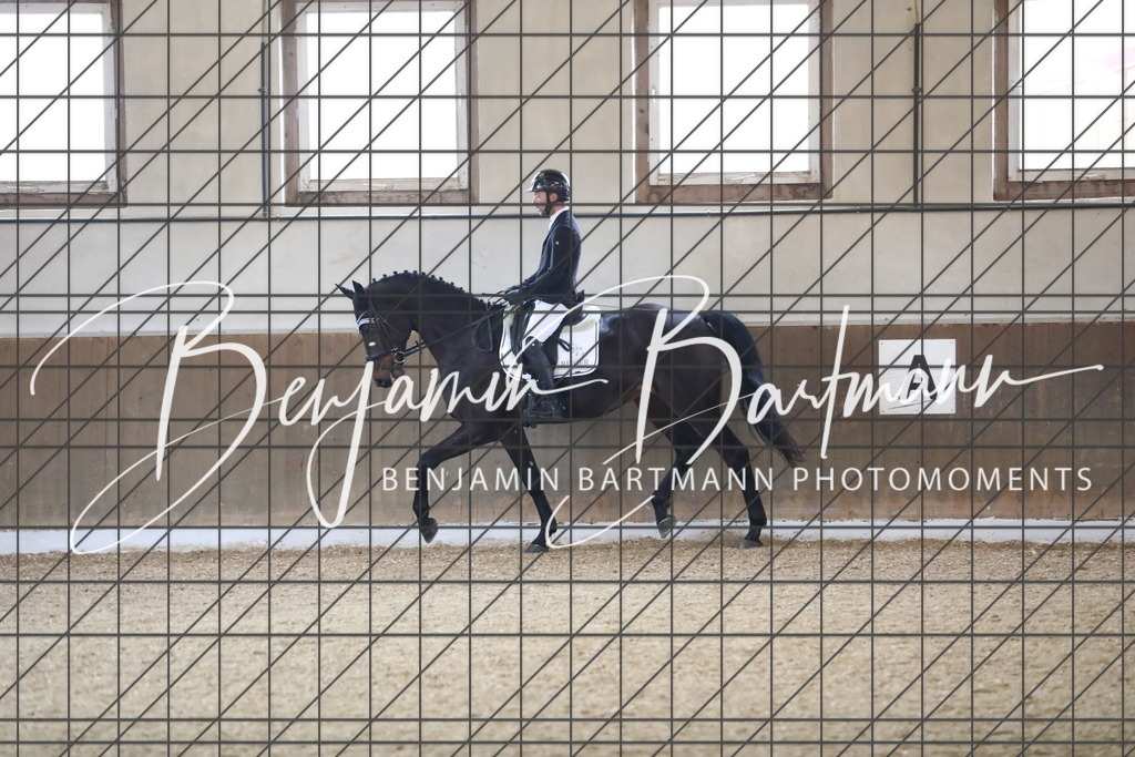 AZ2A0229 | Benjamin Bartmann Photomoments