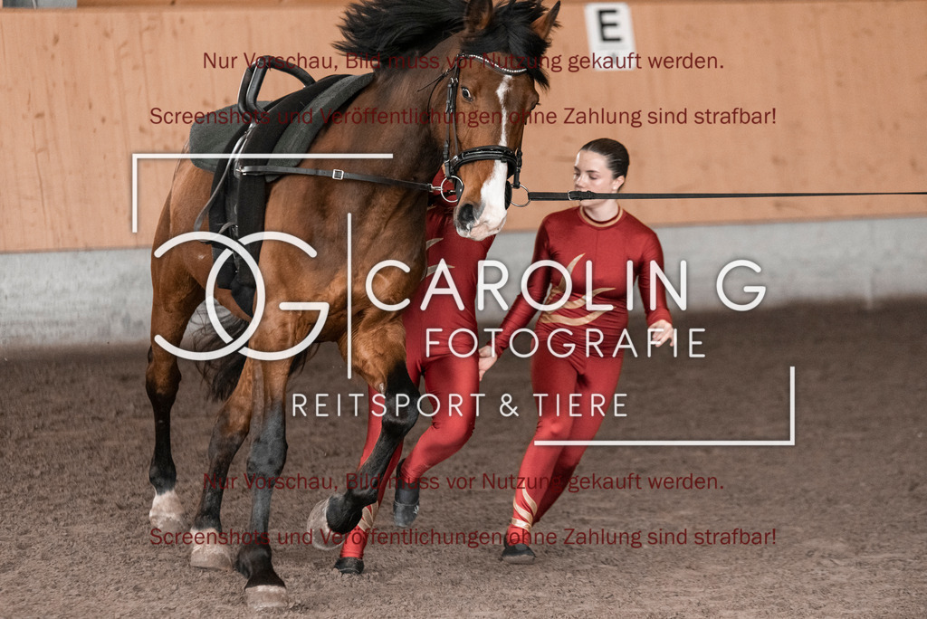 DSC_1980 | Turnierfotografin Carolin Gieschke,Reitsport Turnierfotografie Carolin G Fotografie | Turnierfotos aus Kirchheim/Teck, Esslingen, Stuttgart und dem Bodenseekreis