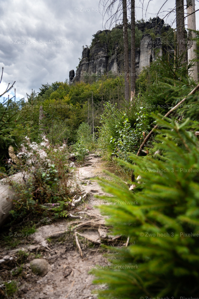 Koenigsweg_Nahe_Friensteinaufstieg_Frienstein_Pfad_Wurzel | 2022-09-02_Waldbrandgebiete_2 - Realisiert mit Pictrs.com