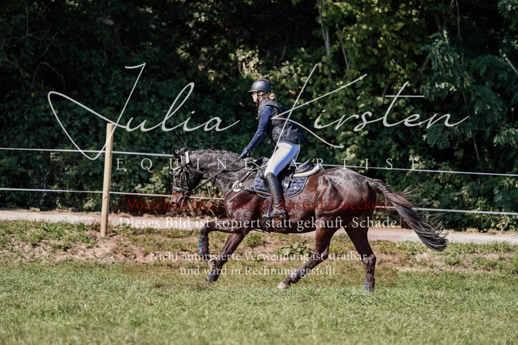 DSC_3259 | Pferde- und Turnierfotografie in Westsachsen. Pferdeportraits, Auftragszeichnungen und intuitive Kunst.