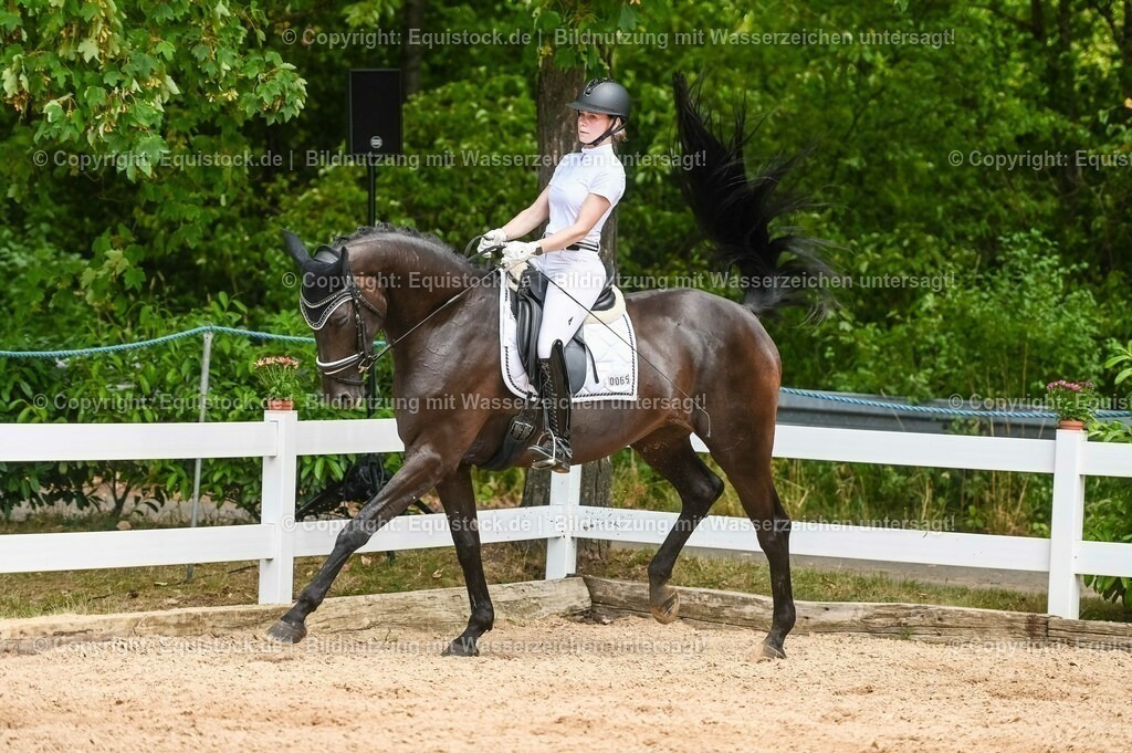 20230715_05_Dressurprüfung Kl.A++_0324 | equistock