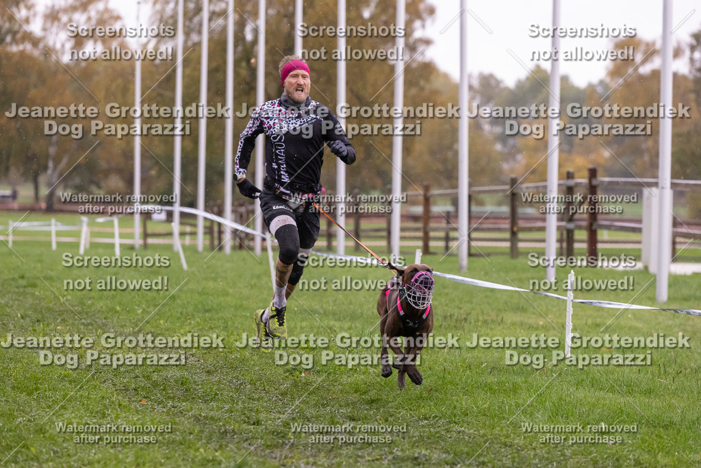 Dog Paparazzi - SD CaniX Championship 2025-959 | Dog Paparazzi Jeanette Grottendiek Fotografie & Videografie - Realisiert mit Pictrs.com