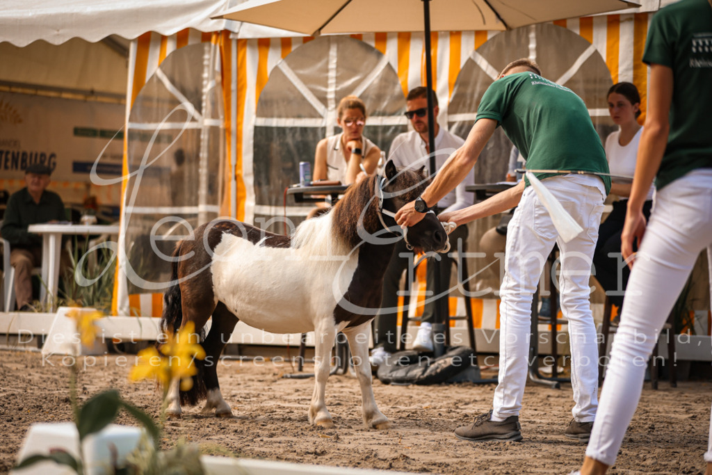 01.So00078 | Leoni Ertmer Photography - Realisiert mit Pictrs.com