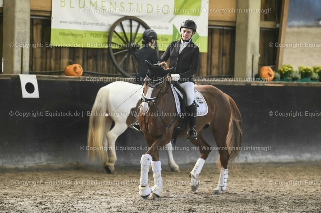 03_Reiter-WB_0175 | Foto: Thomas Hartig