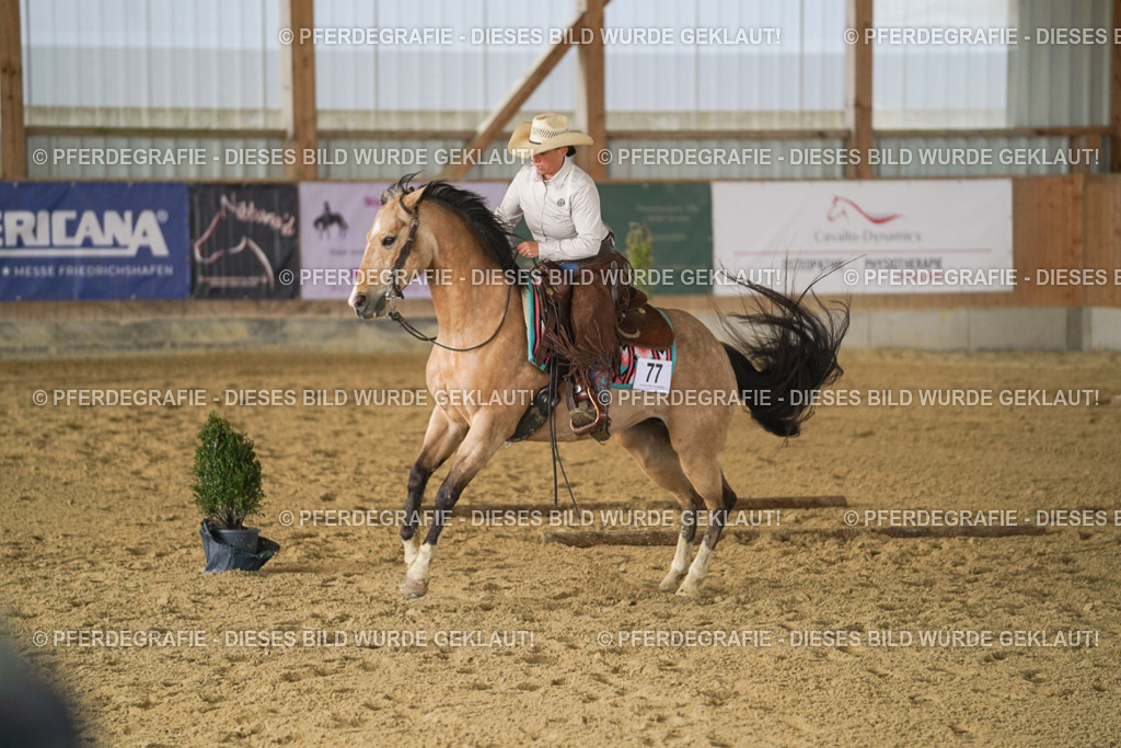 DSC03120 | Pferdegrafie