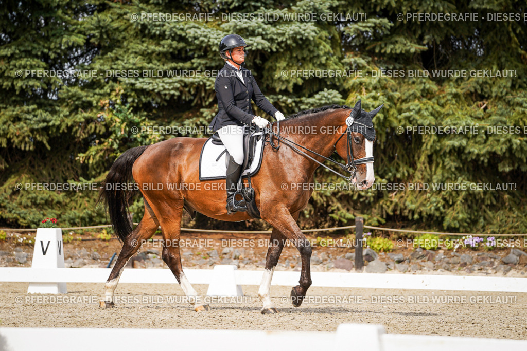 DSC06572 | Pferdegrafie