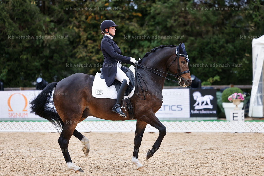 12-074-DRESSUR  S___  -StoibPH-5356 | working equitationturnier fotograf videograf stoibphotography marixx film working equitation deutschland reitsport turnierfotografie eventfotografie equestrian events