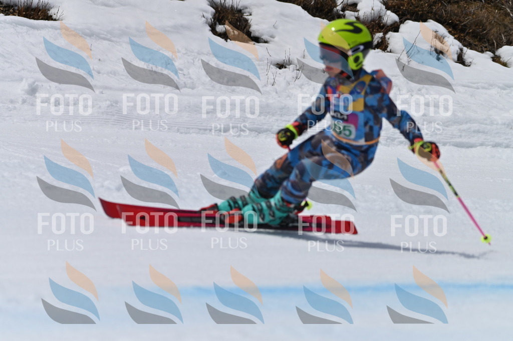 BGV_6053 | holidayphoto