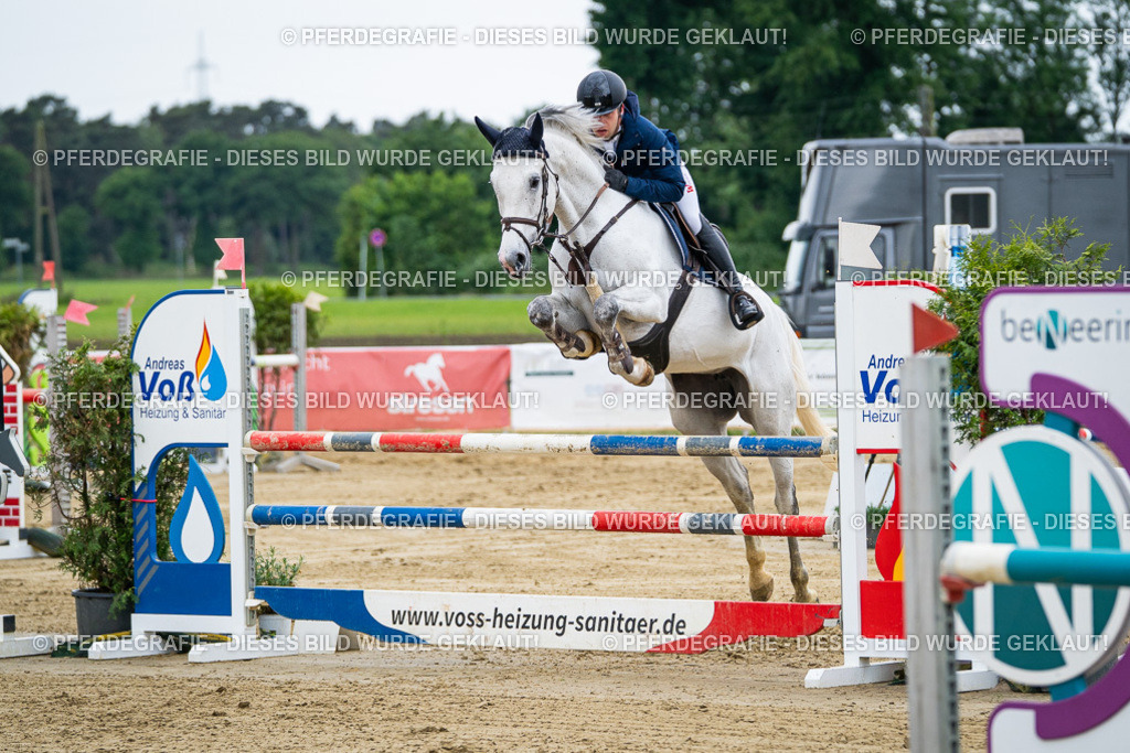 DSC05895 | Pferdegrafie