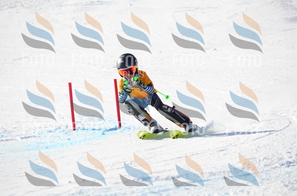 C6490 | holidayphoto