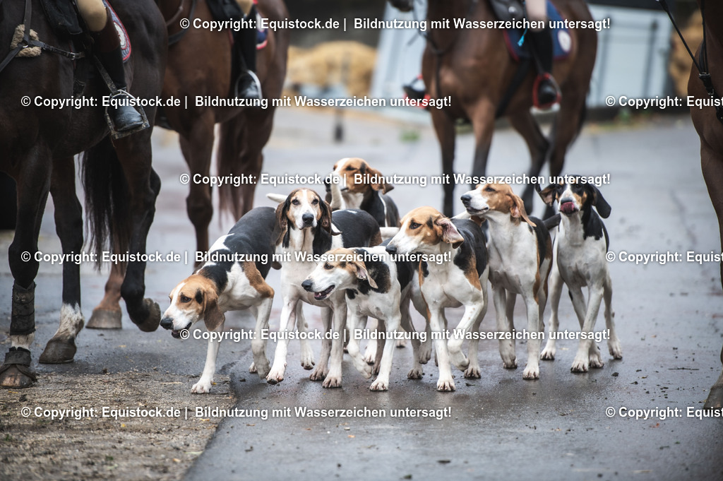 20241013_Jagd-Marbach_0130 | Foto: Thomas Hartig