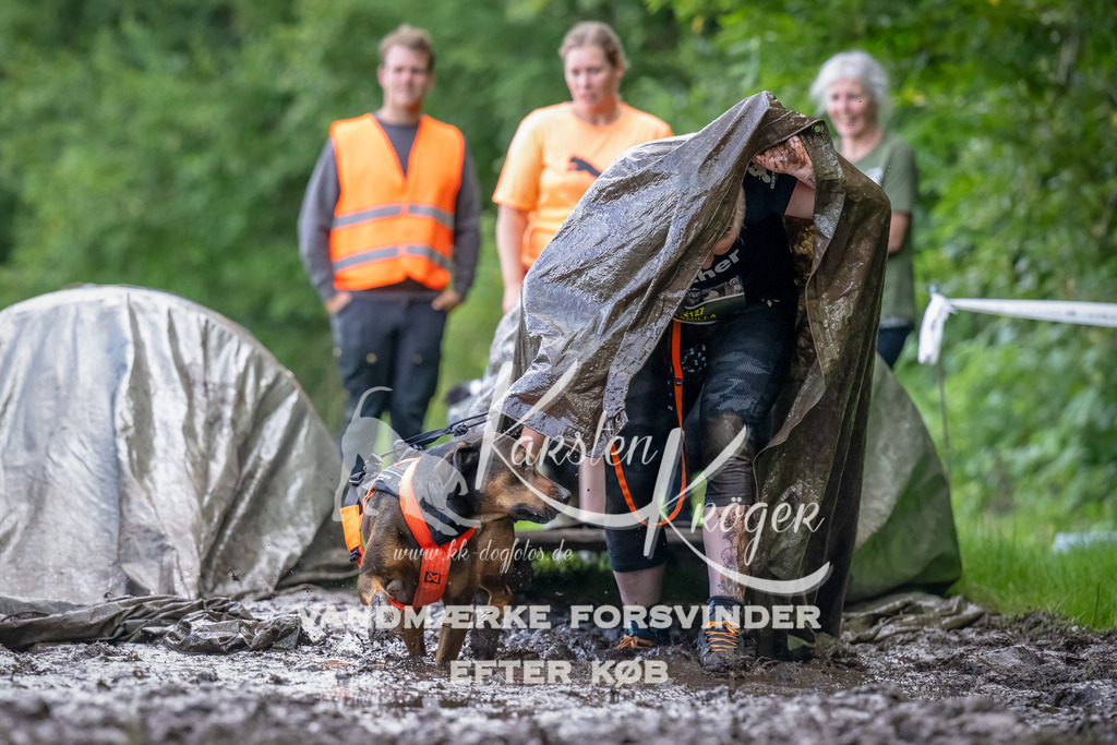 1153_ZZ90105-Bearbeitet | kk-dogfotos