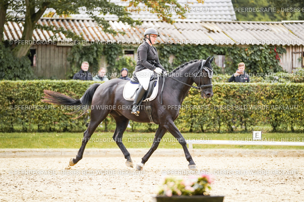 DSC01207 | Pferdegrafie