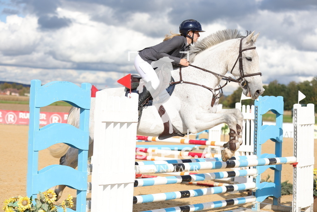 0P6A1221 | Willkommen bei Brunnmayr - Design & Fotografie – Ihrem Spezialisten für Reitturniere und Pferdeveranstaltungen in Oberösterreich, Salzburg und Bayern! Seit über 17 Jahren sind wir leidenschaftlich dabei.