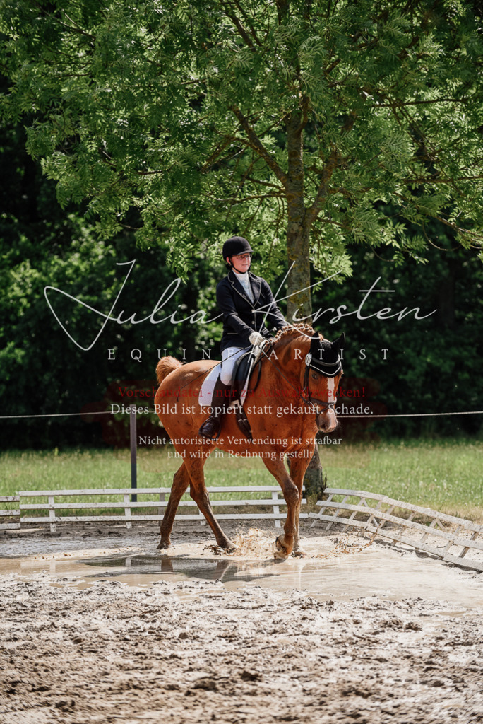 DSC_0653 | Pferde- und Turnierfotografie in Westsachsen. Pferdeportraits, Auftragszeichnungen und intuitive Kunst.