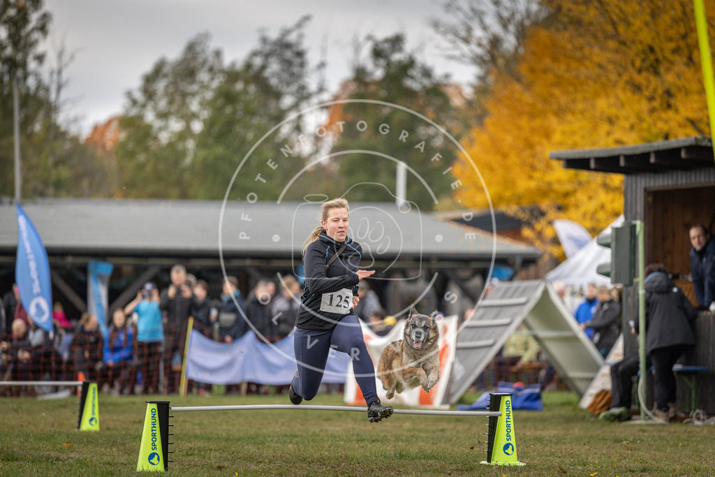 Pfotenfotografie_DV3A6651 | Hundefotografie, Tierfotograf, Pfotenfotografie, Fotoshooting Hund, Hunde Portrait, Hundesport, Hundeportraits, Heideshooting, Hunde, Sportfotograf, Hundefotograf, Turnierhundsport, THS,  - Realisiert mit Pictrs.com