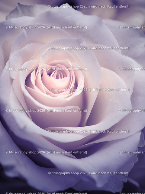 titusgraphy-P5107935_var-058 | Fotokunstarbeit aus der INSTAGRAM-Gallerie auf titusgraphy.eu - Realisiert mit Pictrs.com