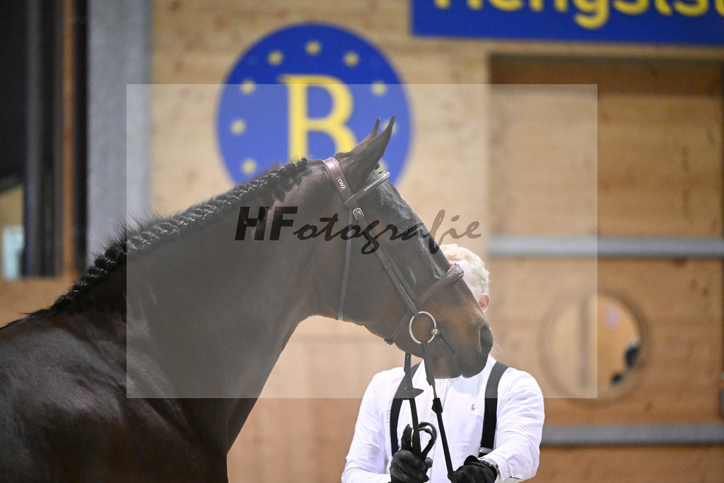 Vigaro_14261336 | hf-fotografie - Realisiert mit Pictrs.com