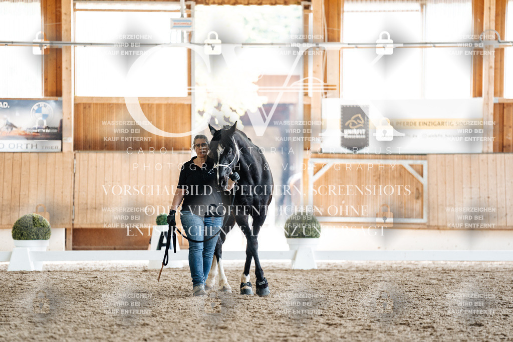 CK907990 | Turnierfotografie Pferdefotografie Trier Rheinland-Pfalz Pferdesport Reitsport Tierfotografie Sportfotografie Pferdevideo Pferdevideografie Equestrianvideography equestrianphotography  - Realisiert mit Pictrs.com