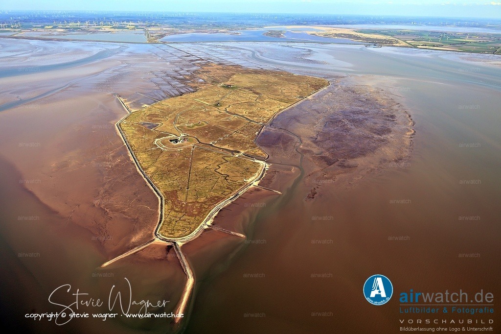 Gibt es bedrohte Tierarten auf der Hallig Nordstrandischmoor? - Luftbild | Gibt es bedrohte Tierarten auf der Hallig? - Ja – die prominenteste bedrohte Art auf Nordstrandischmoor ist die Zwergseeschwalbe (Sternula albifrons). In Deutschland gilt sie als vom Aussterben bedroht (Rote-Liste-Kategorie 1), und auf der Hallig brütet eine der letzten Kolonien im Wattenmeer – laut einer WWF-Studie rund 64 Brutpaare. Hauptbedrohungen sind Störung durch Menschen, Prädation durch Fuchs und Ratten sowie Überschwemmungen durch Sturmfluten (z. B. das Landunter 2020 vernichtete zahlreiche Gelege). - Darüber hinaus profitieren weitere Arten vom Status der Hallig als Teil des EU-Vogelschutzgebiets und des Nationalparks Schleswig-Holsteinisches Wattenmeer, darunter der Sandregenpfeifer und der Seeregenpfeifer, die ebenfalls in Deutschland vom Aussterben bedroht sind.Für die Zwergseeschwalbe wurde 2026 sogar die Auszeichnung als Seevogel des Jahres vergeben, um auf den dramatischen Bestandsrückgang aufmerksam zu machen.