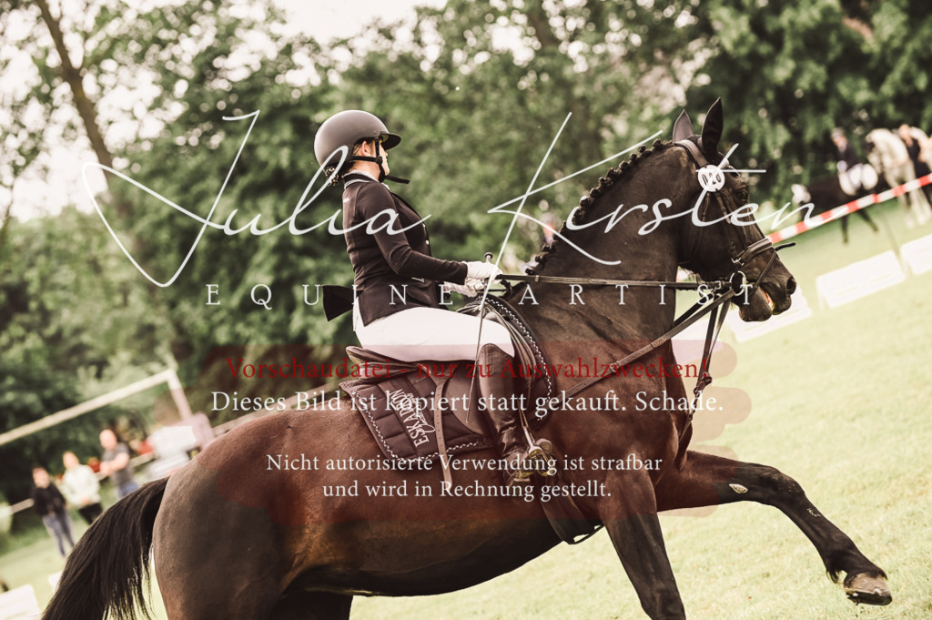DSC_4908 | Pferde- und Turnierfotografie in Westsachsen. Pferdeportraits, Auftragszeichnungen und intuitive Kunst.