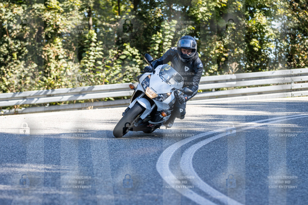 IMG_3337 | jrph - Realisiert mit Pictrs.com