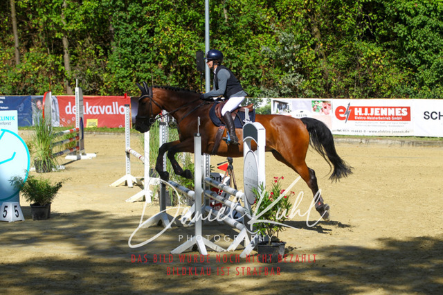 DKP42296 | Turniersportfotografie; Pferdefotografie; Dressurfotografie