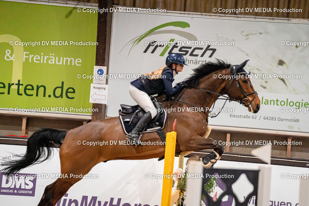 Kranichstein Tag 2-1163 | dv-media-shop - Realisiert mit Pictrs.com