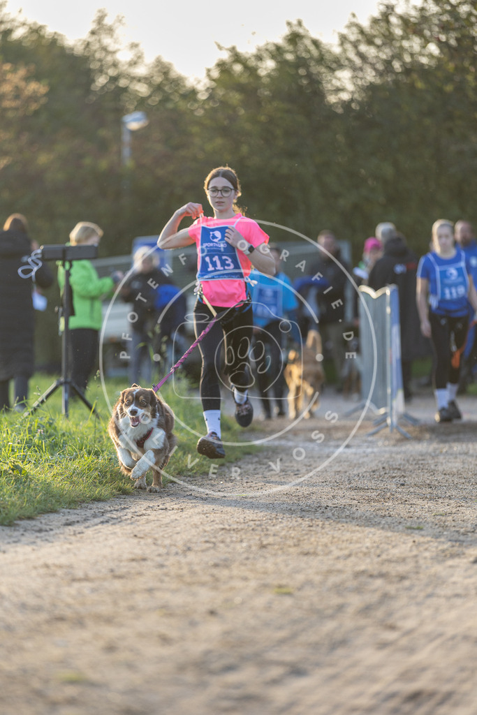 Pfotenfotografie.de_DV3A2479 | Hundefotografie, Tierfotograf, Pfotenfotografie, Fotoshooting Hund, Hunde Portrait, Hundesport, Hundeportraits, Heideshooting, Hunde, Sportfotograf, Hundefotograf, Turnierhundsport, THS, canicross - Realisiert mit Pictrs.com