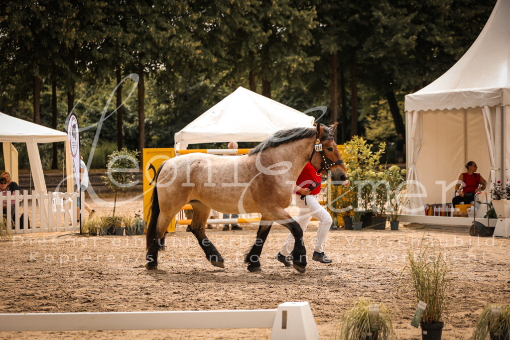 3.Sa00076 | Leoni Ertmer Photography - Realisiert mit Pictrs.com