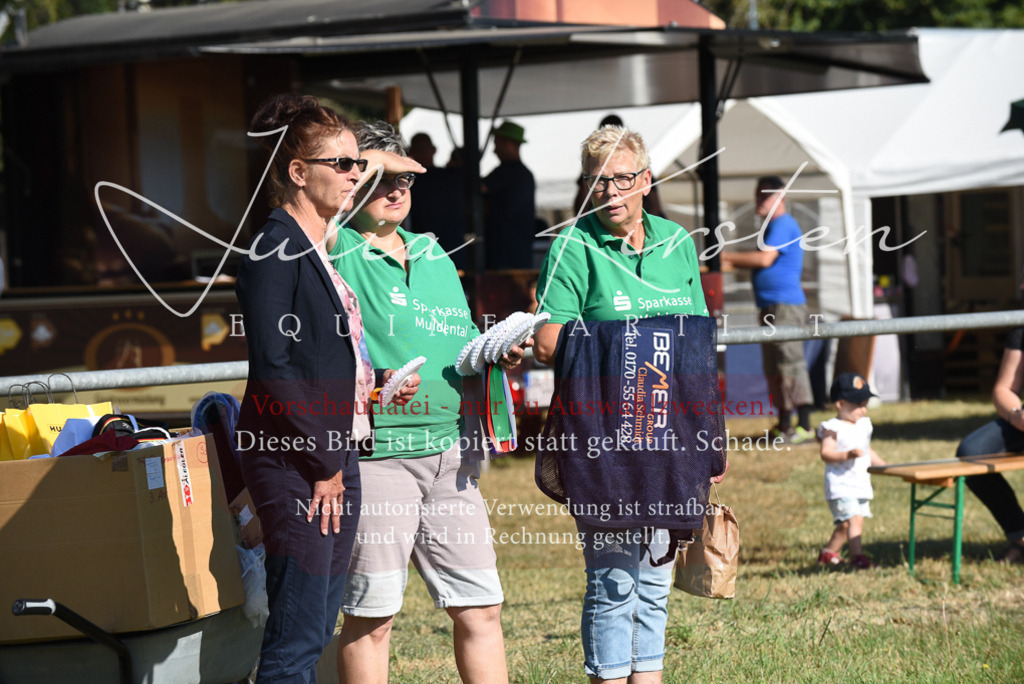 DSC_5428 | Pferde- und Turnierfotografie in Westsachsen. Pferdeportraits, Auftragszeichnungen und intuitive Kunst.